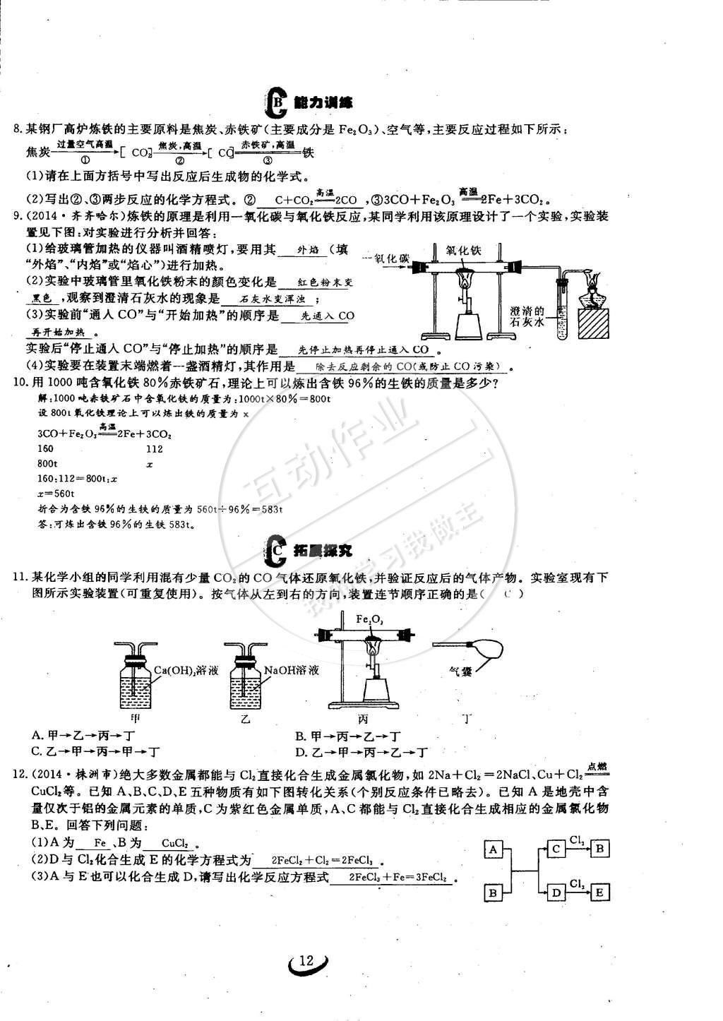 2015年思維新觀察九年級化學下冊人教版 第12頁