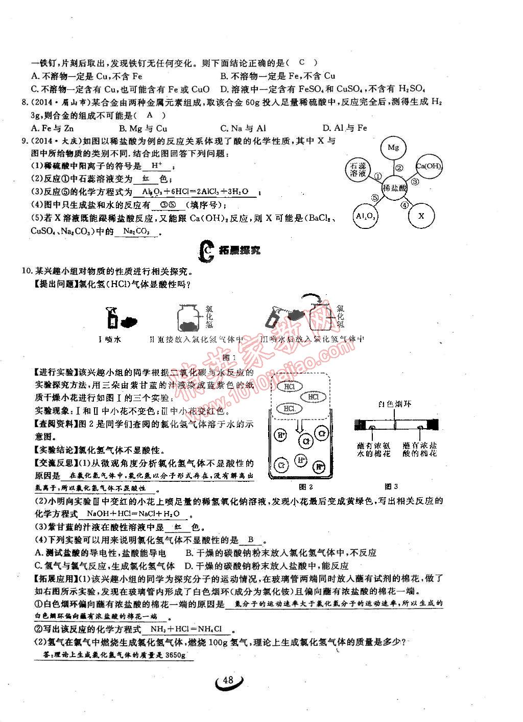 2015年思維新觀察九年級化學(xué)下冊人教版 第48頁