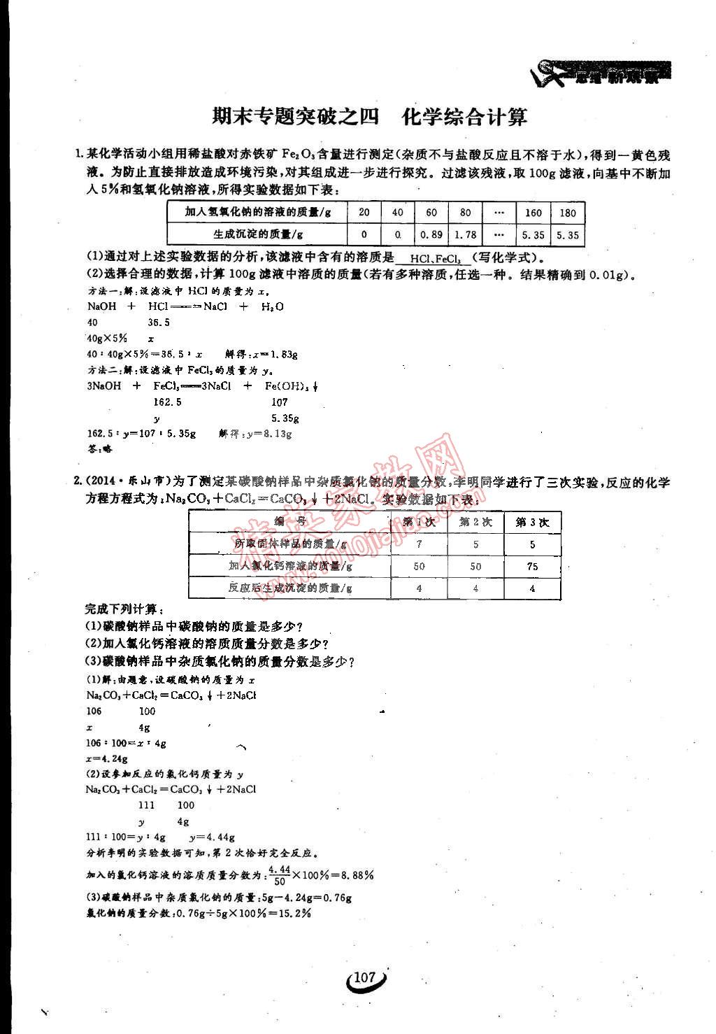 2015年思維新觀察九年級(jí)化學(xué)下冊(cè)人教版 第107頁(yè)