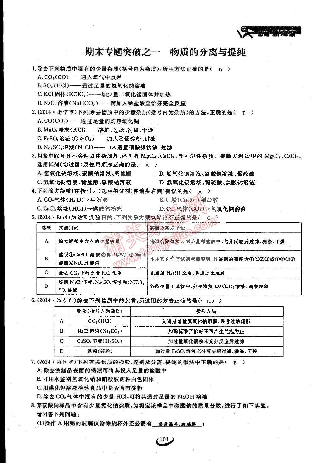 2015年思維新觀察九年級化學(xué)下冊人教版 第101頁