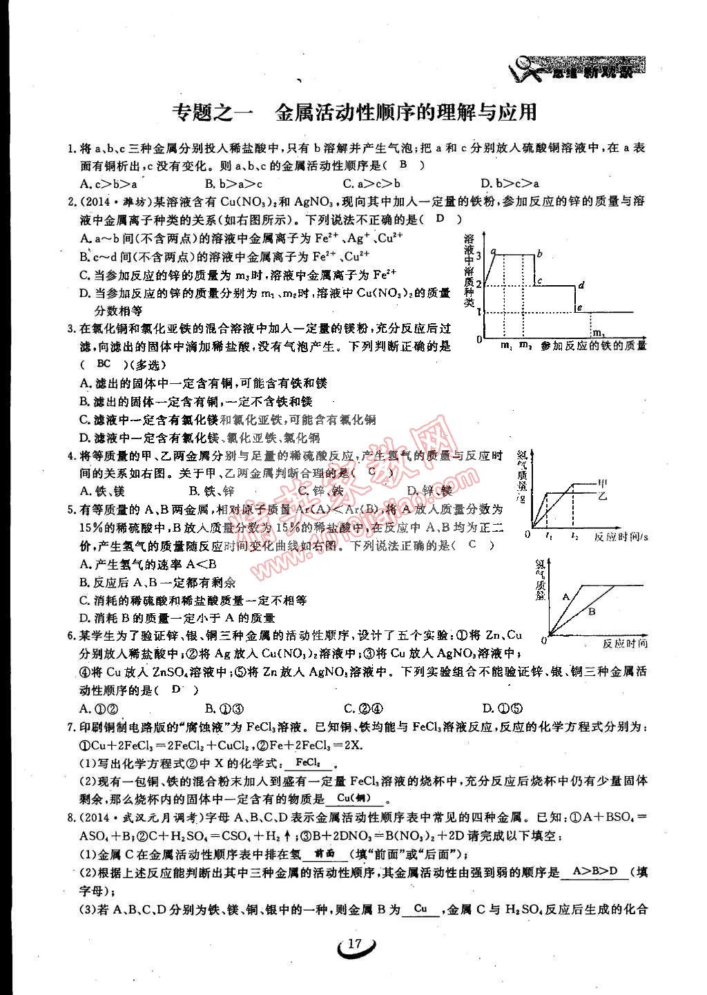 2015年思維新觀察九年級(jí)化學(xué)下冊(cè)人教版 第17頁(yè)