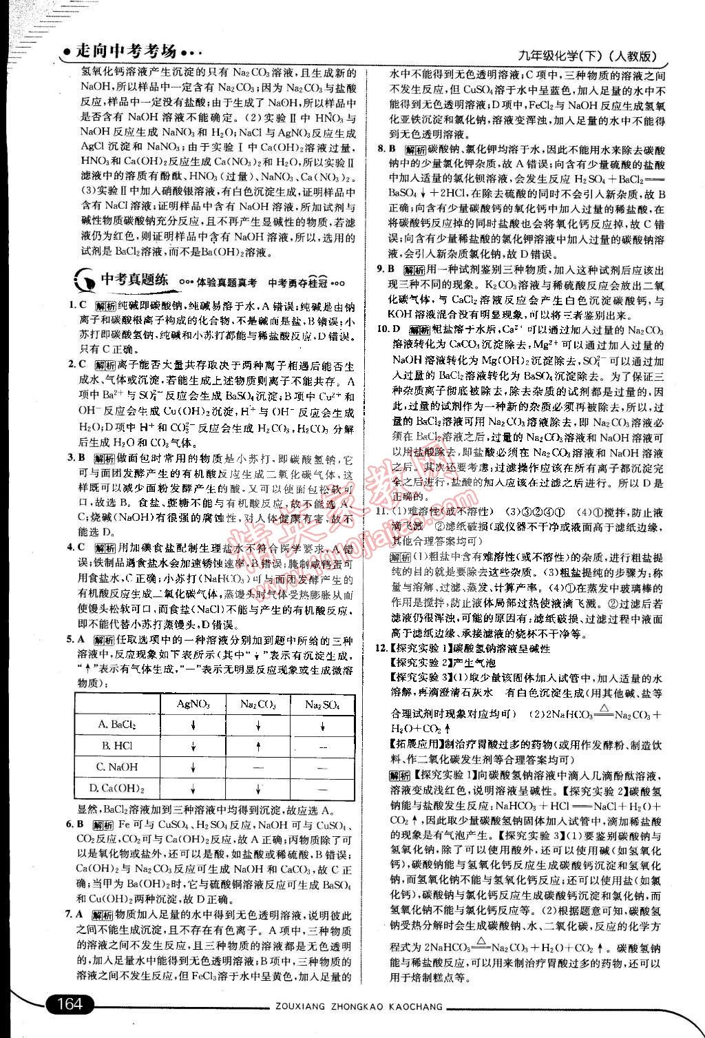 2015年走向中考考場九年級化學下冊人教版 第22頁