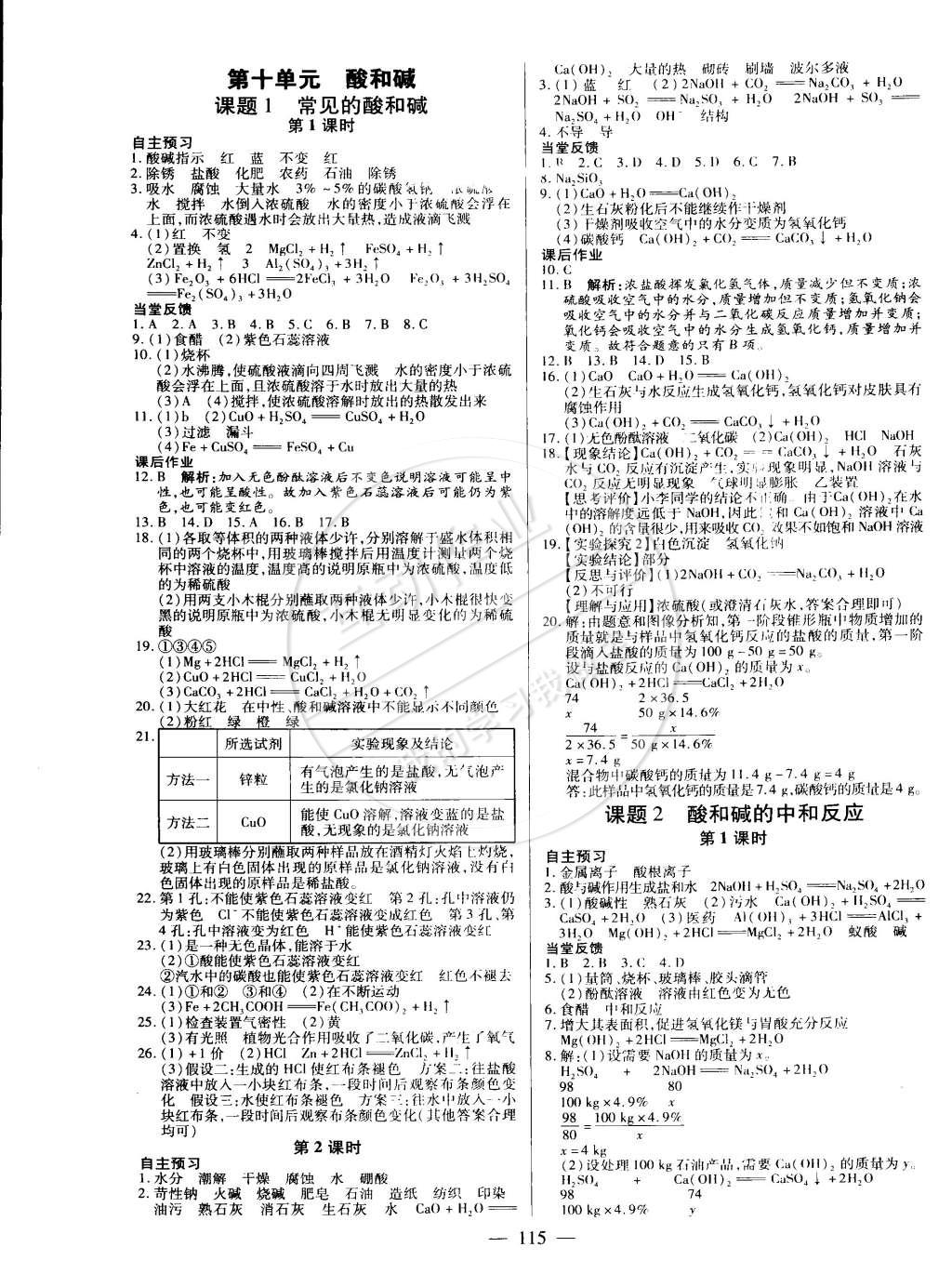 2015年名师三导学练考九年级化学下册人教版 第5页