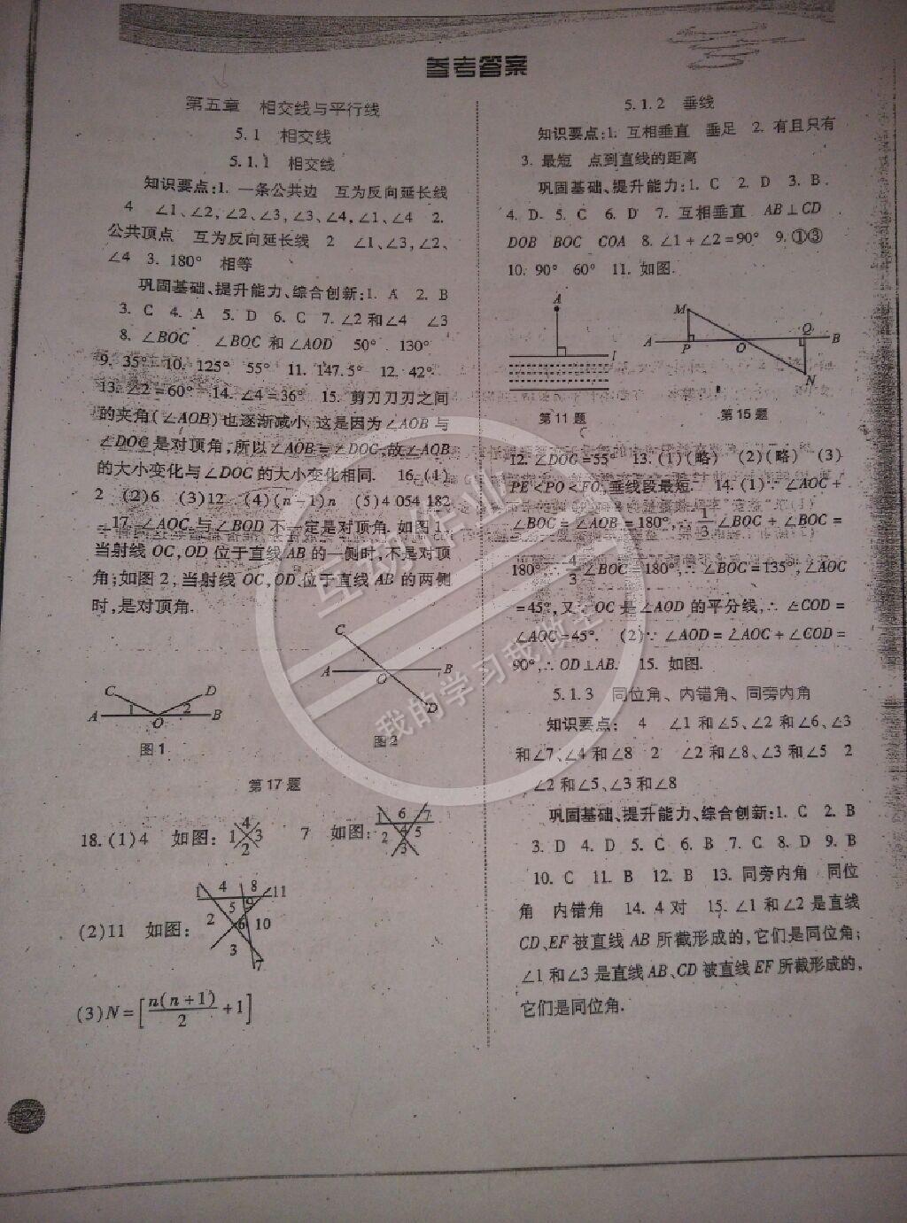 2014年同步训练七年级数学下册人教版河北人民出版社 第1页