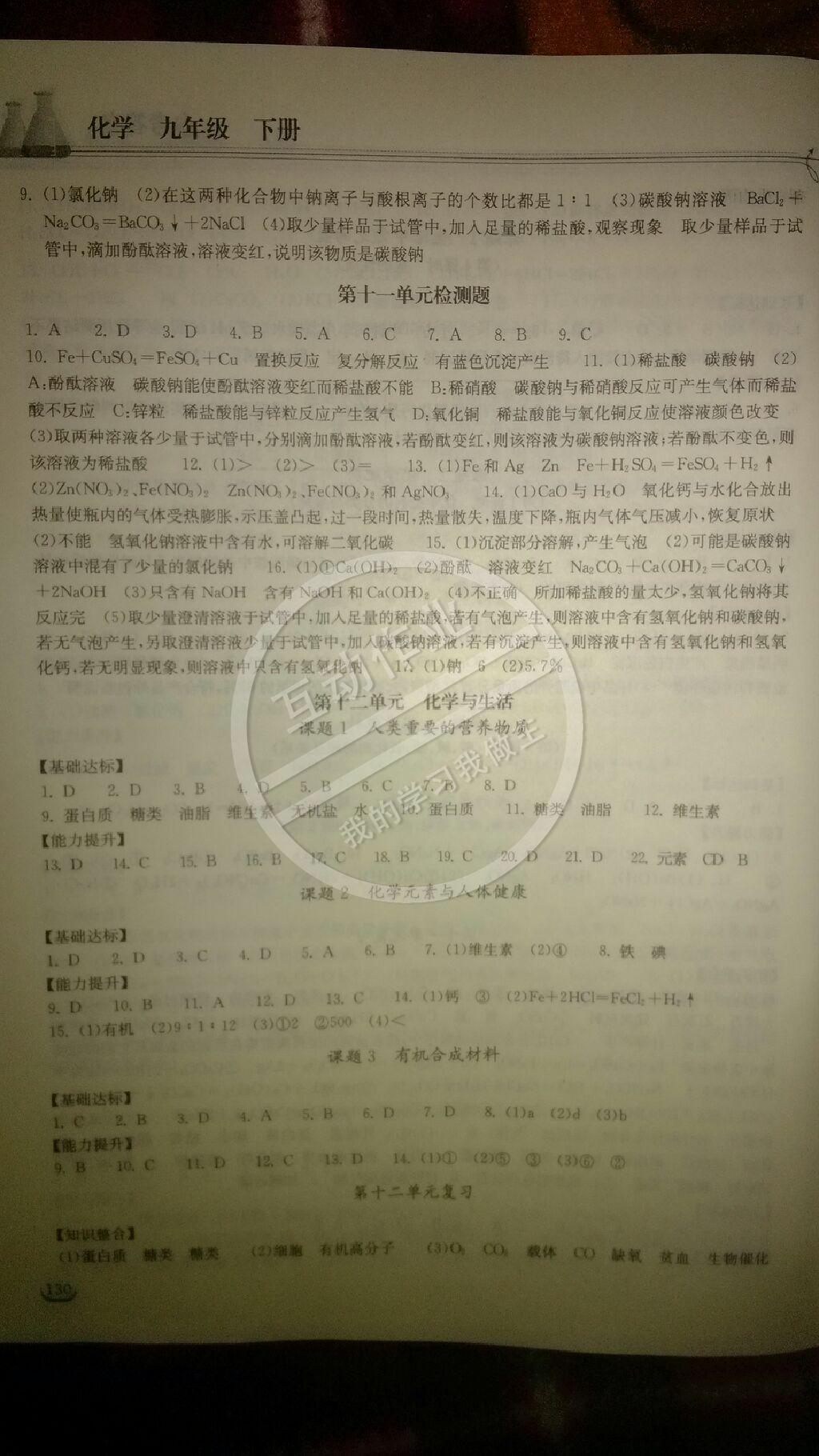 2015长江作业本同步练习册九年级化学下册 第10页