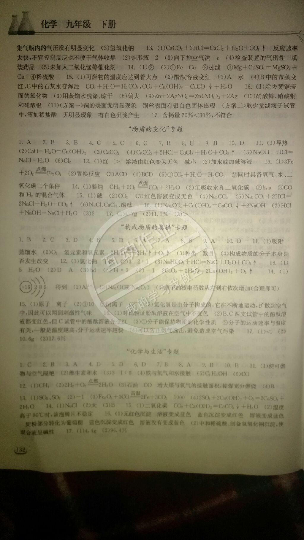 2015长江作业本同步练习册九年级化学下册 第12页