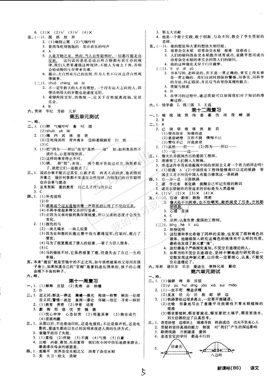 2015年同步活頁(yè)測(cè)試卷全品小復(fù)習(xí)六年級(jí)語(yǔ)文下冊(cè)北師大版 第5頁(yè)