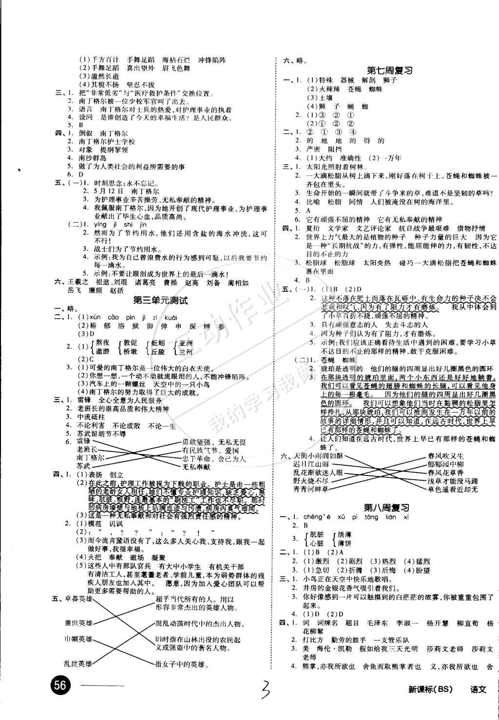 2015年同步活页测试卷全品小复习六年级语文下册北师大版 第3页