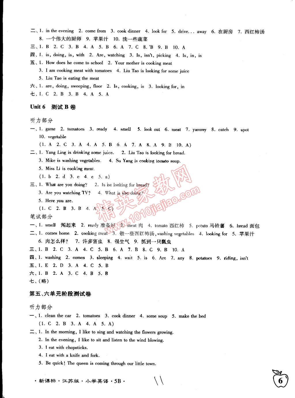 2015年江蘇密卷五年級英語下冊江蘇版 第11頁