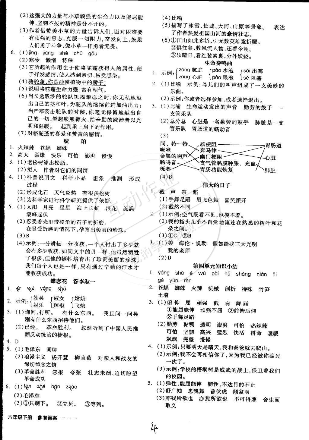 2015年全品學(xué)練考六年級(jí)語(yǔ)文下冊(cè)北師大版 第17頁(yè)