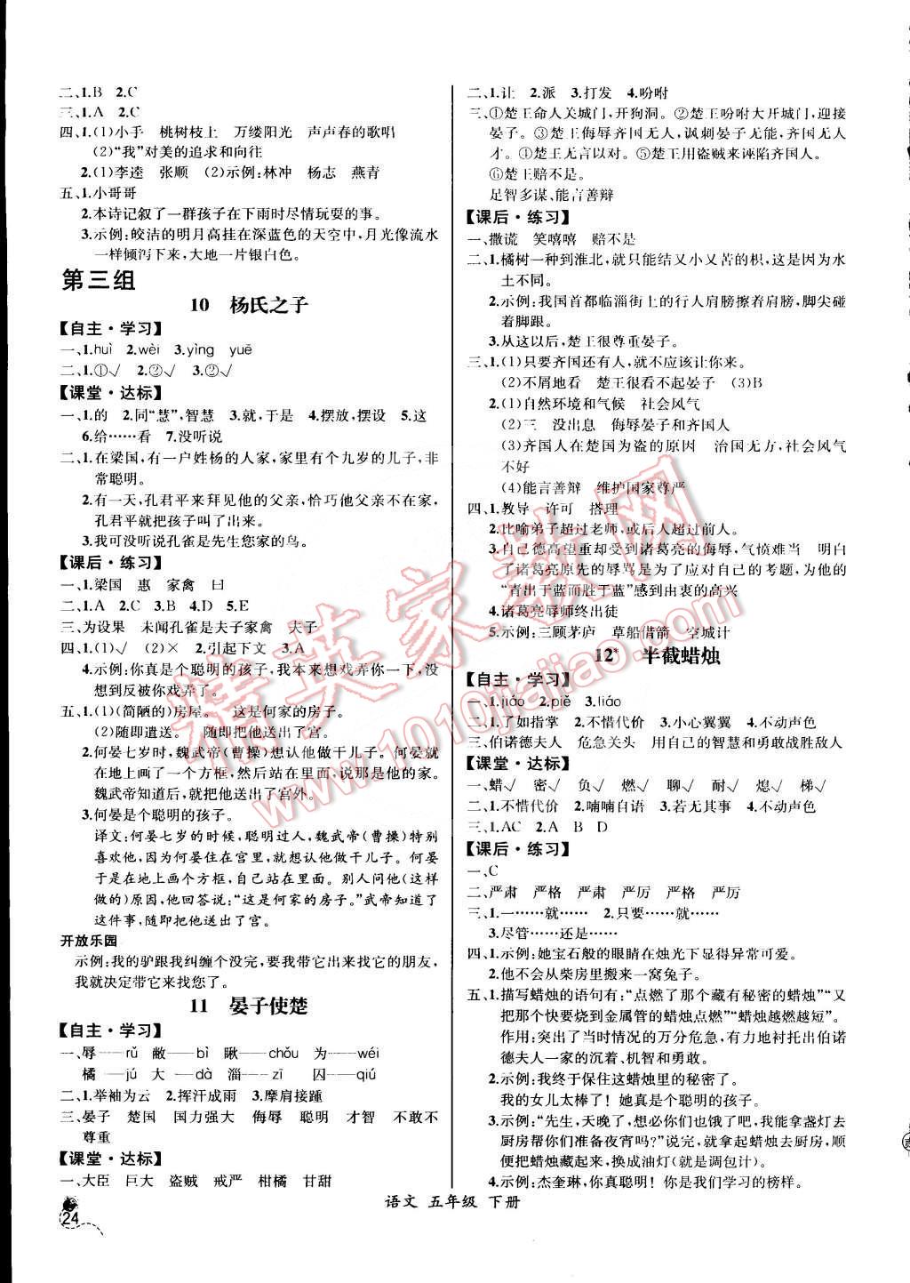 2015年同步導(dǎo)學(xué)案課時練五年級語文下冊人教版河北專版 第4頁