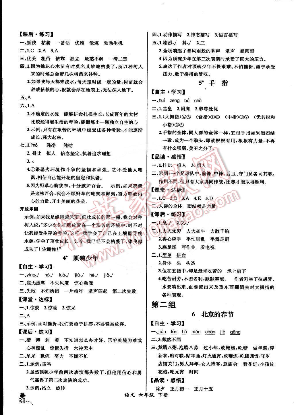 2016年同步导学案课时练六年级语文下册人教版河北专版 第2页