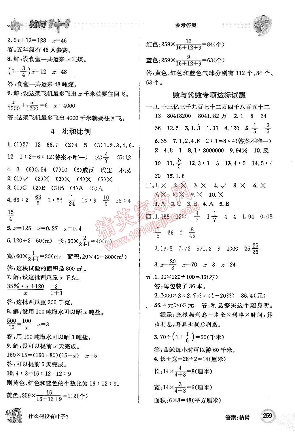 2015年教材1加1六年級數(shù)學下冊人教版 第13頁