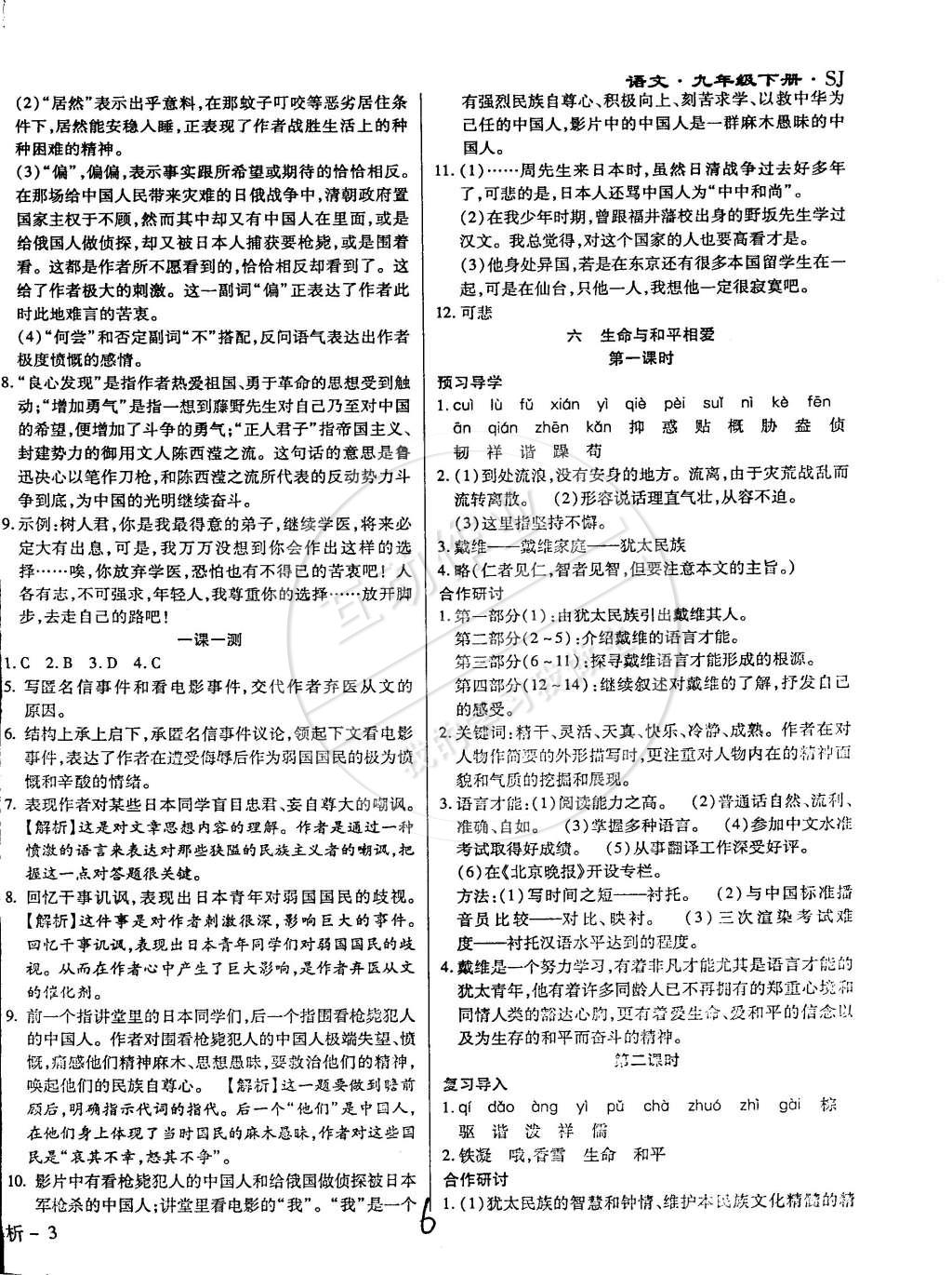 2015年學(xué)升同步練測(cè)九年級(jí)語(yǔ)文下冊(cè)蘇教版 第6頁(yè)