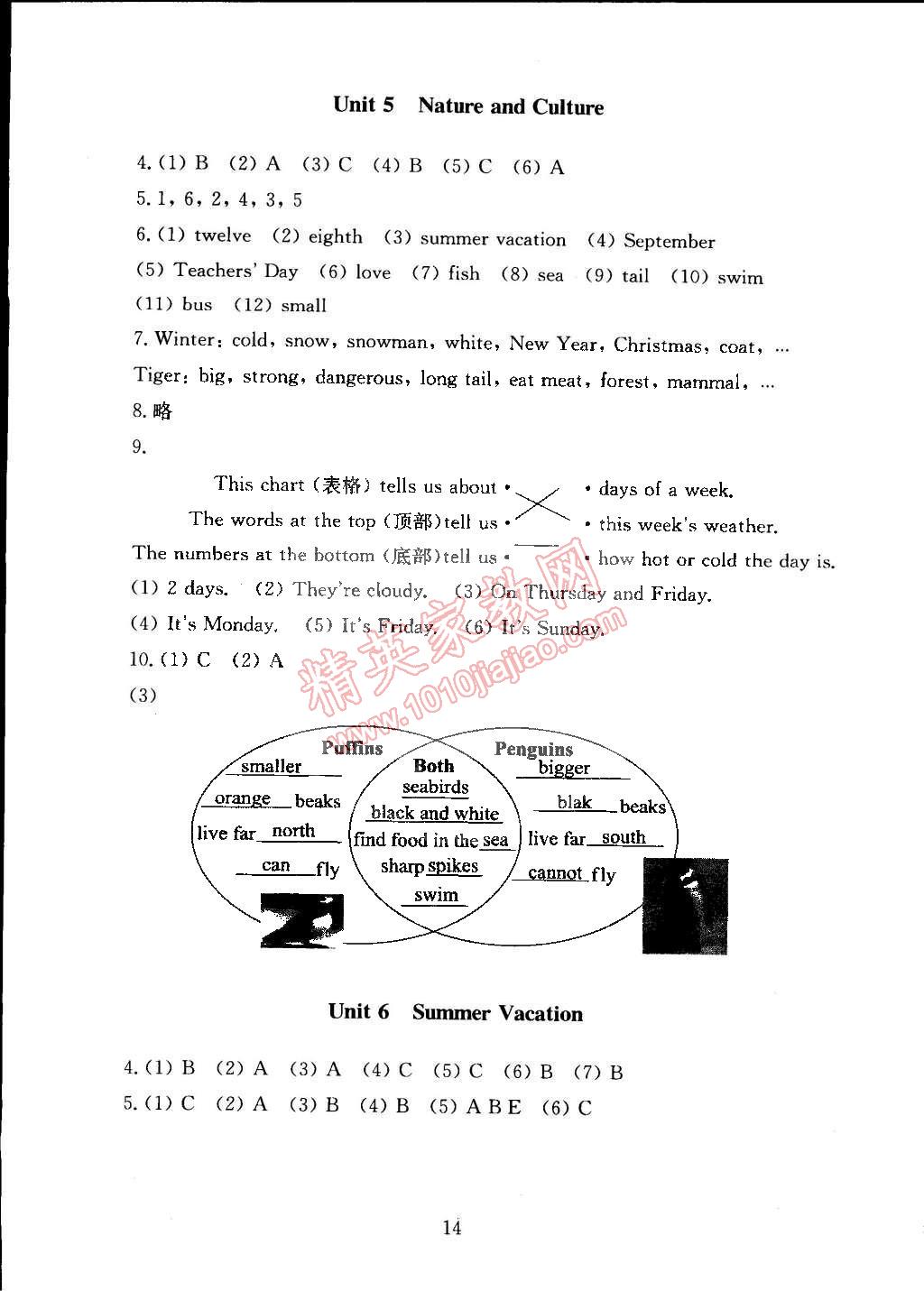 2015年海淀名師伴你學同步學練測六年級英語下冊人教新起點 第14頁