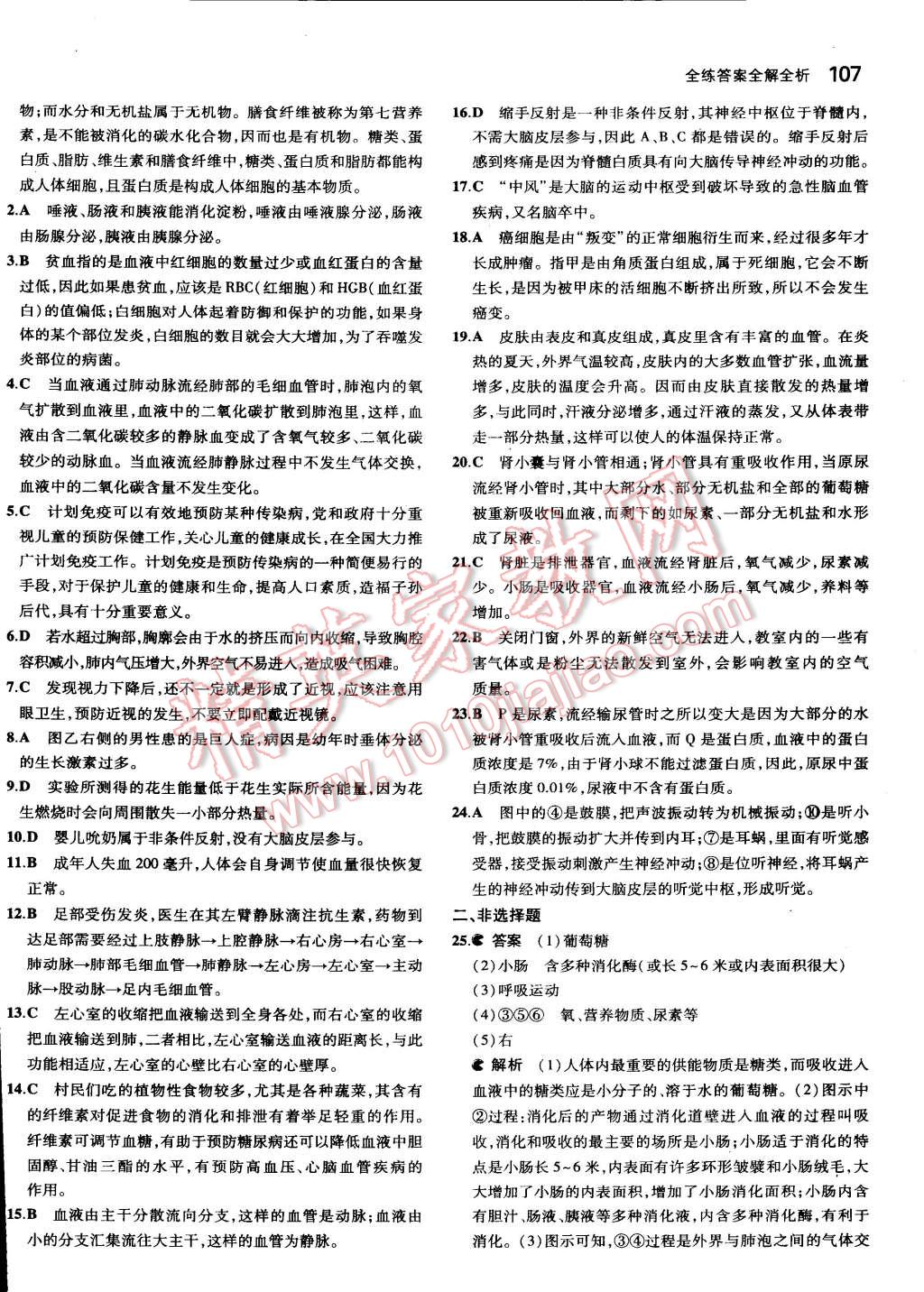 2015年5年中考3年模拟初中生物七年级下册北师大版 第31页