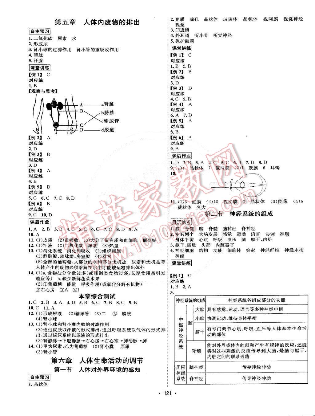 2015年優(yōu)學(xué)名師名題七年級生物下冊人教版 第5頁