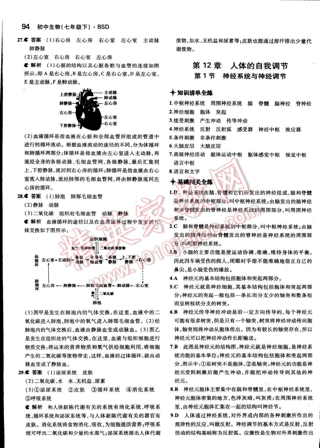 2015年5年中考3年模拟初中生物七年级下册北师大版 第18页