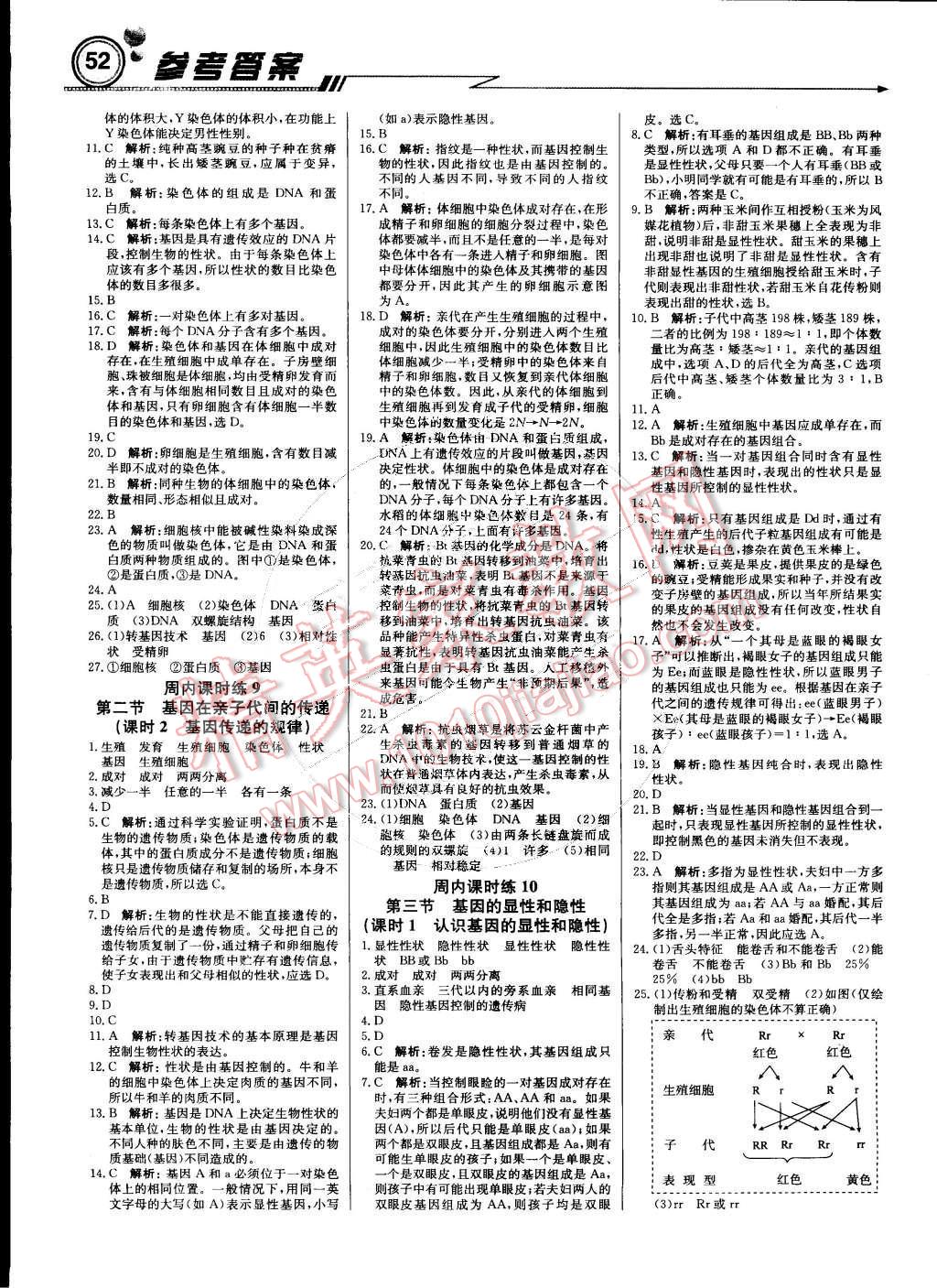 2015年輕巧奪冠周測月考直通中考八年級生物下冊人教版 第4頁