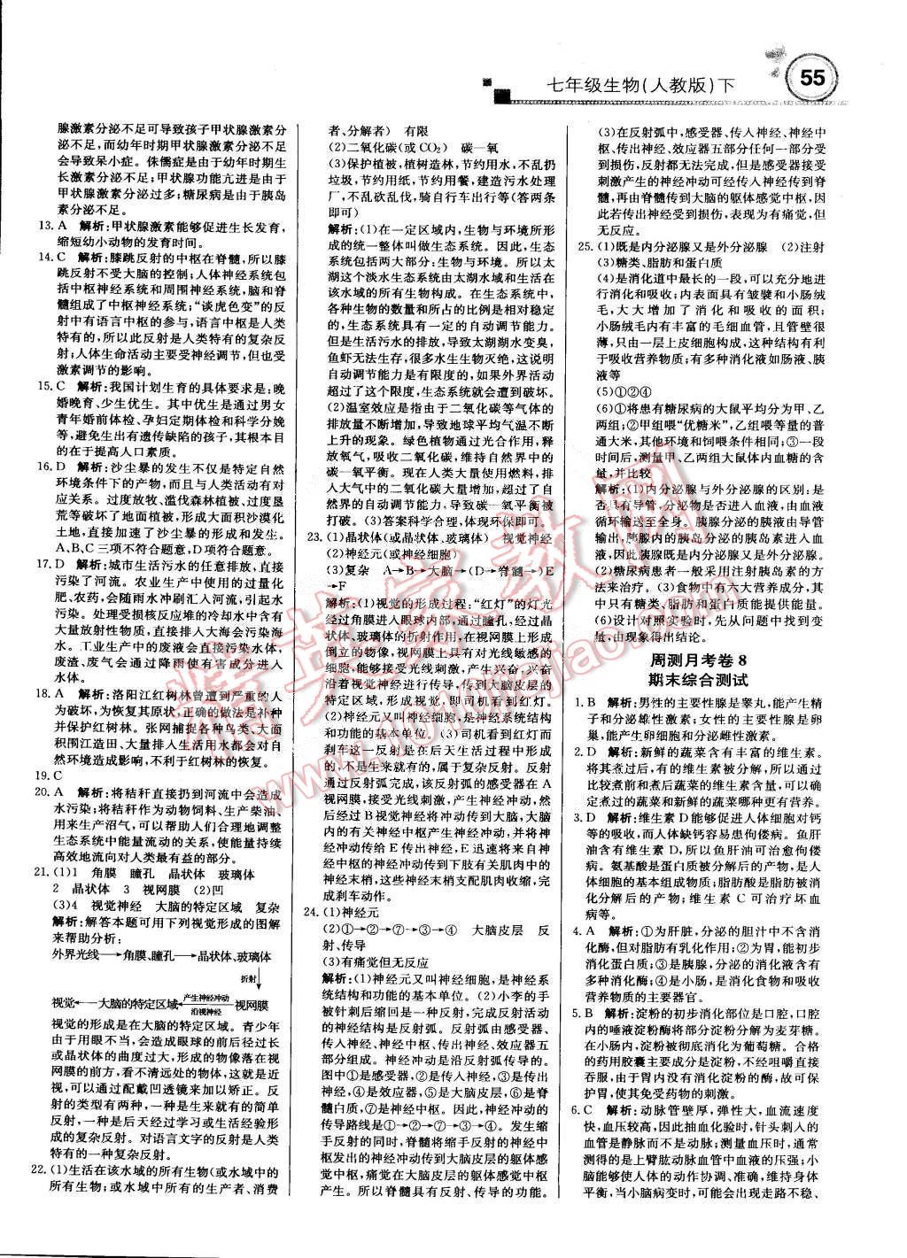 2015年輕巧奪冠周測月考直通中考七年級(jí)生物下冊(cè)人教版 第15頁