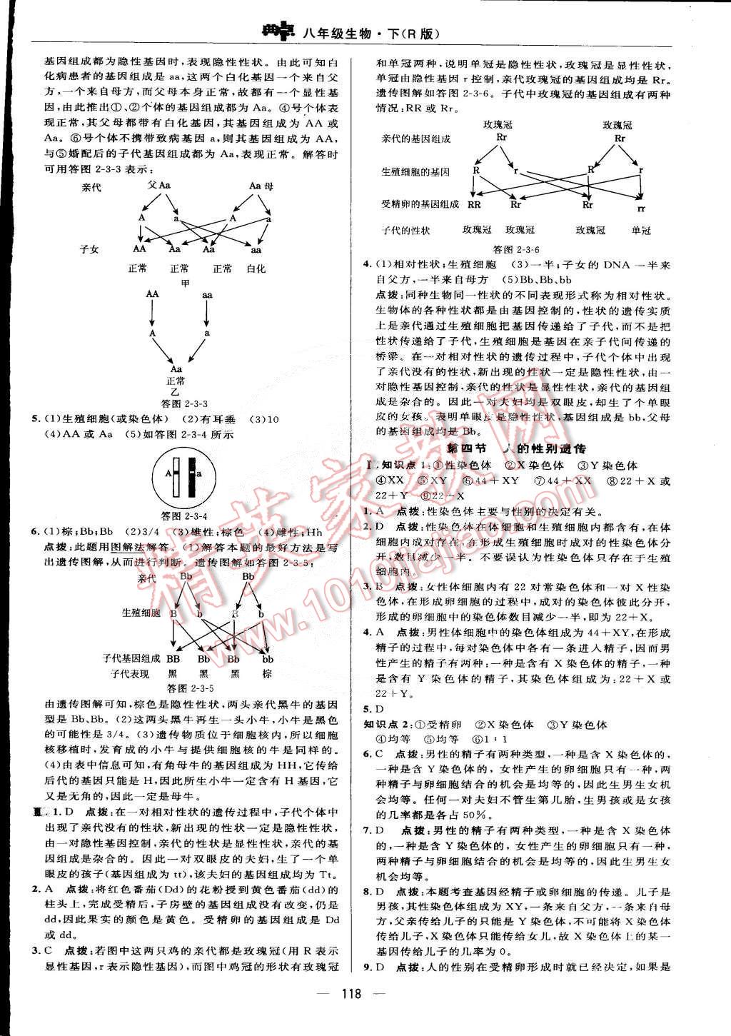 2015年綜合應(yīng)用創(chuàng)新題典中點(diǎn)八年級(jí)生物下冊(cè)人教版 第16頁