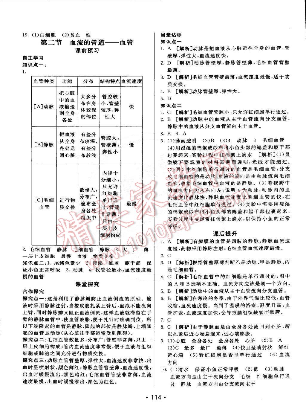 2015年同行學(xué)案課堂達(dá)標(biāo)七年級生物下冊人教版 第10頁