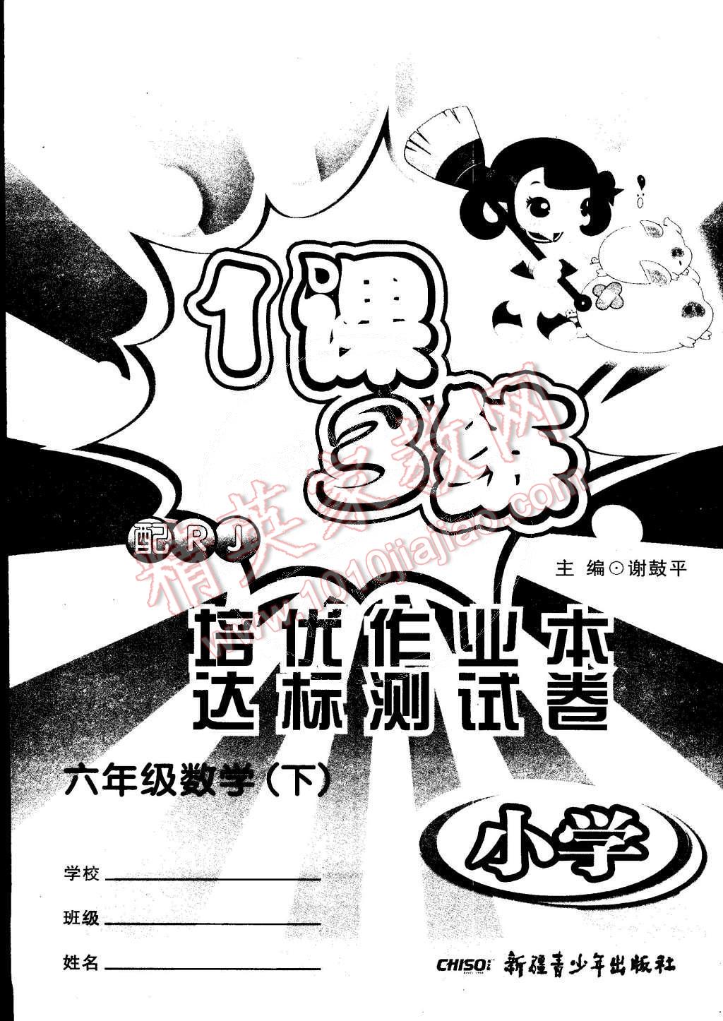 2015年1課3練培優(yōu)作業(yè)本六年級數(shù)學下冊人教版 第13頁