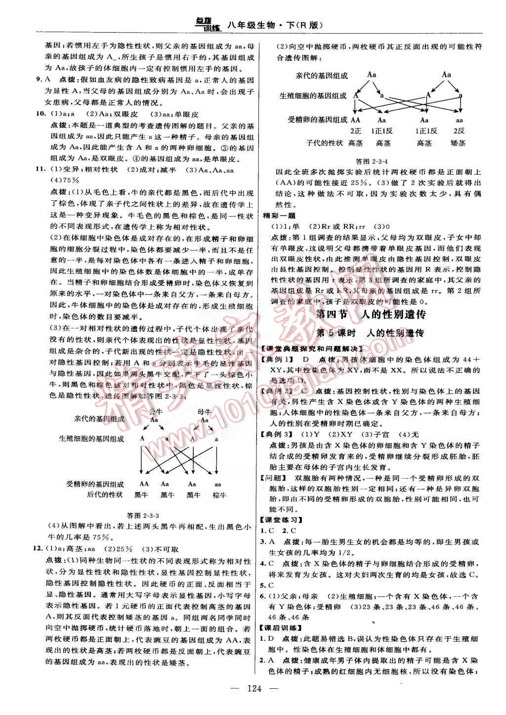 2015年點(diǎn)撥訓(xùn)練八年級(jí)生物下冊(cè)人教版 第14頁