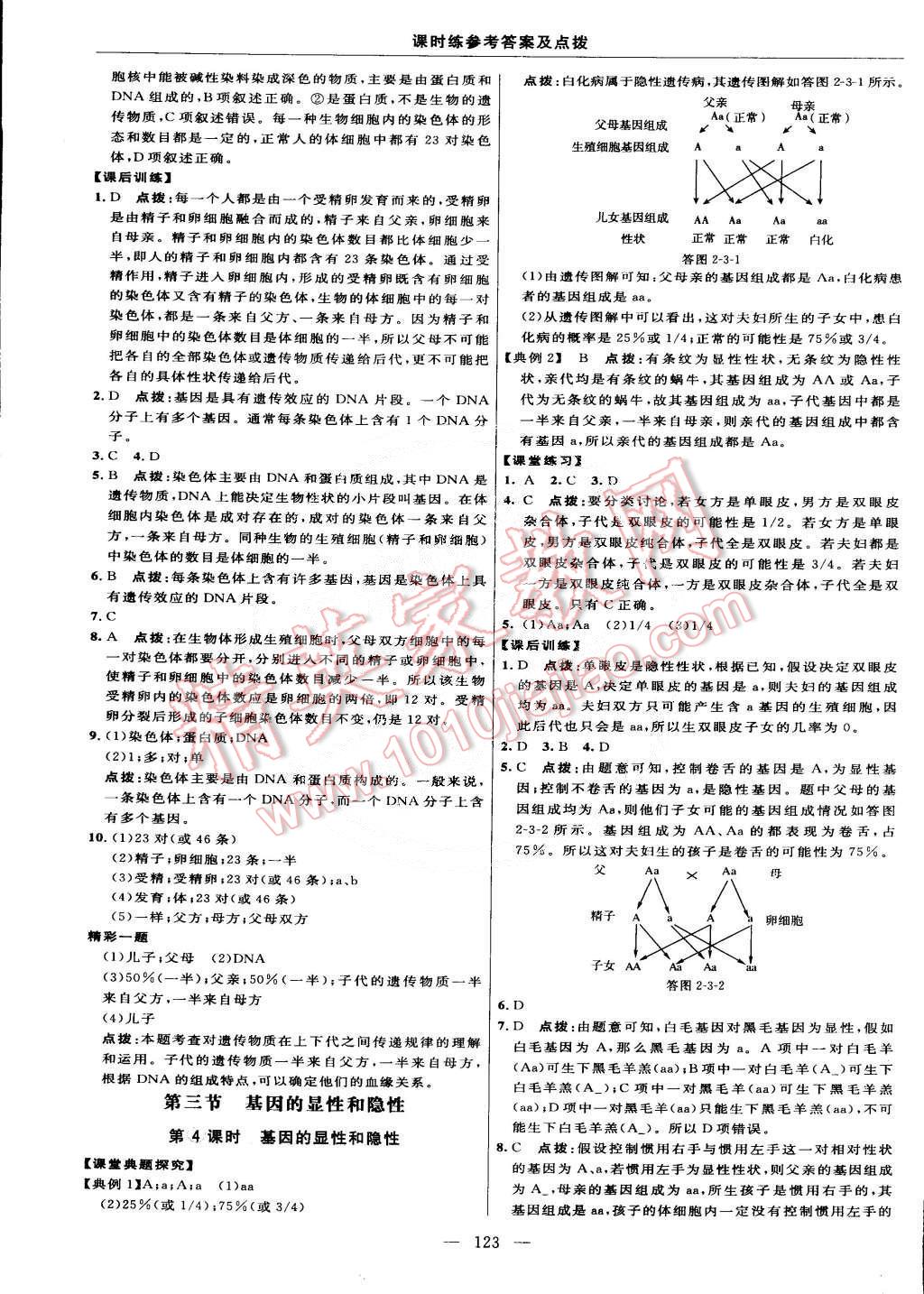 2015年點(diǎn)撥訓(xùn)練八年級(jí)生物下冊(cè)人教版 第13頁