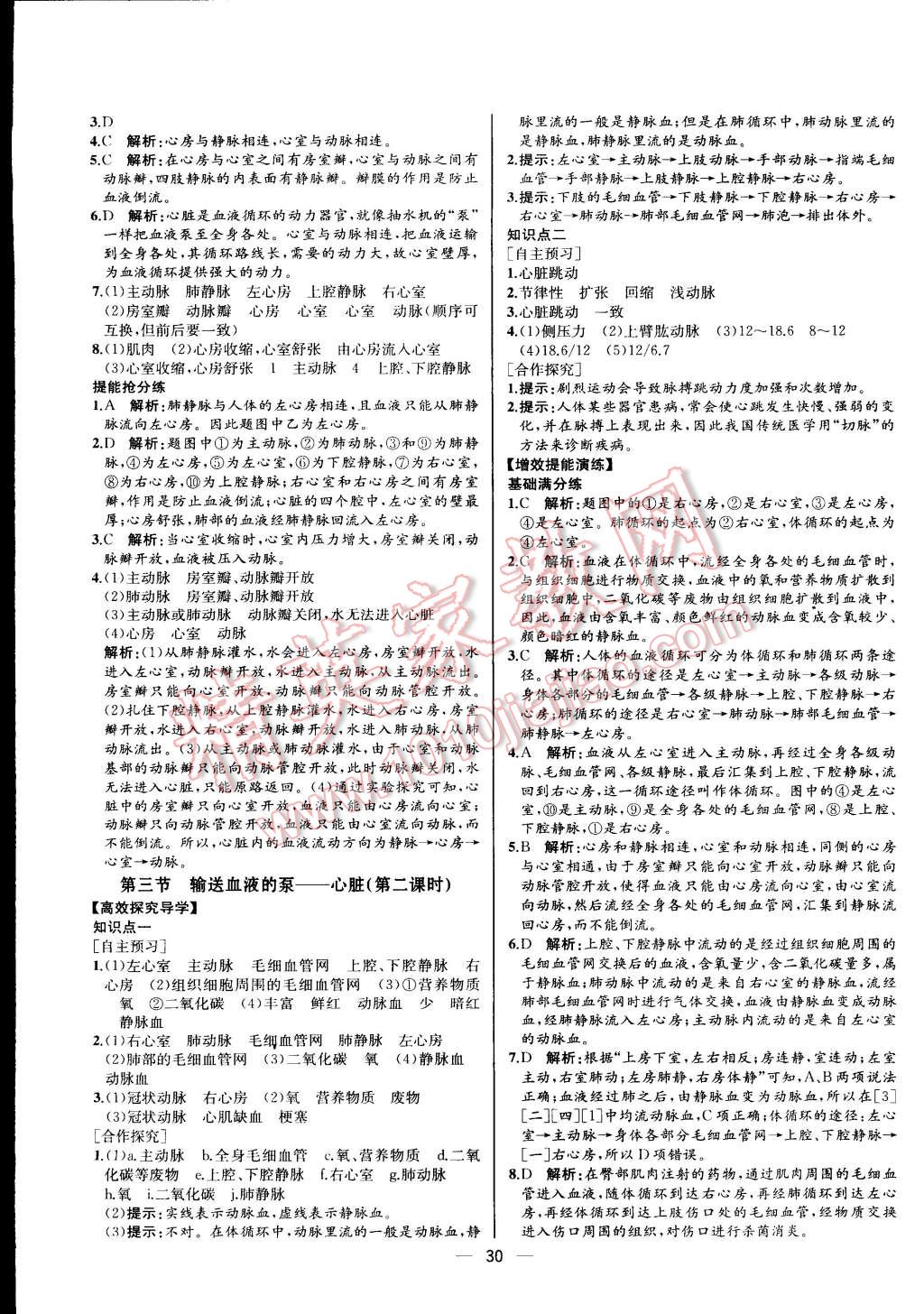 2015年同步导学案课时练七年级生物学下册人教版河北专版 第14页