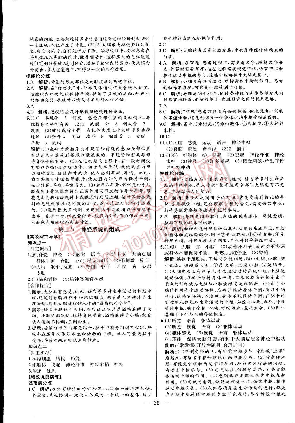 2015年同步导学案课时练七年级生物学下册人教版河北专版 第20页