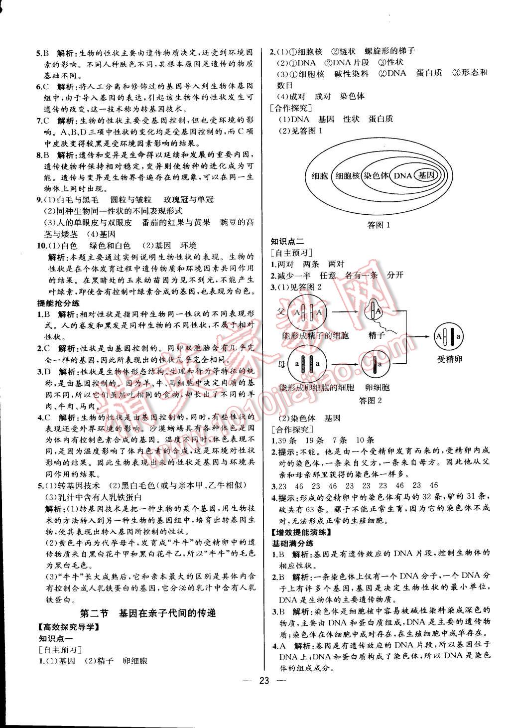 2016年同步导学案课时练八年级生物学下册人教版河北专版 第7页