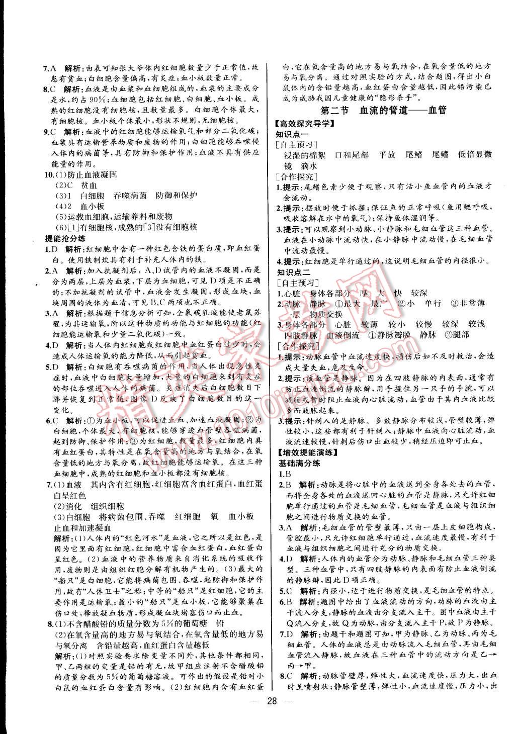 2015年同步导学案课时练七年级生物学下册人教版河北专版 第12页