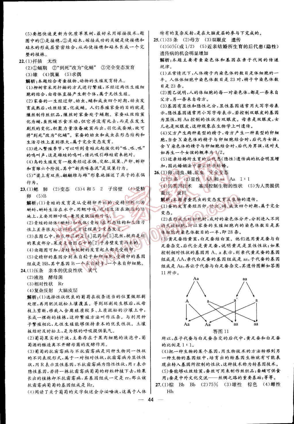 2016年同步导学案课时练八年级生物学下册人教版河北专版 第28页