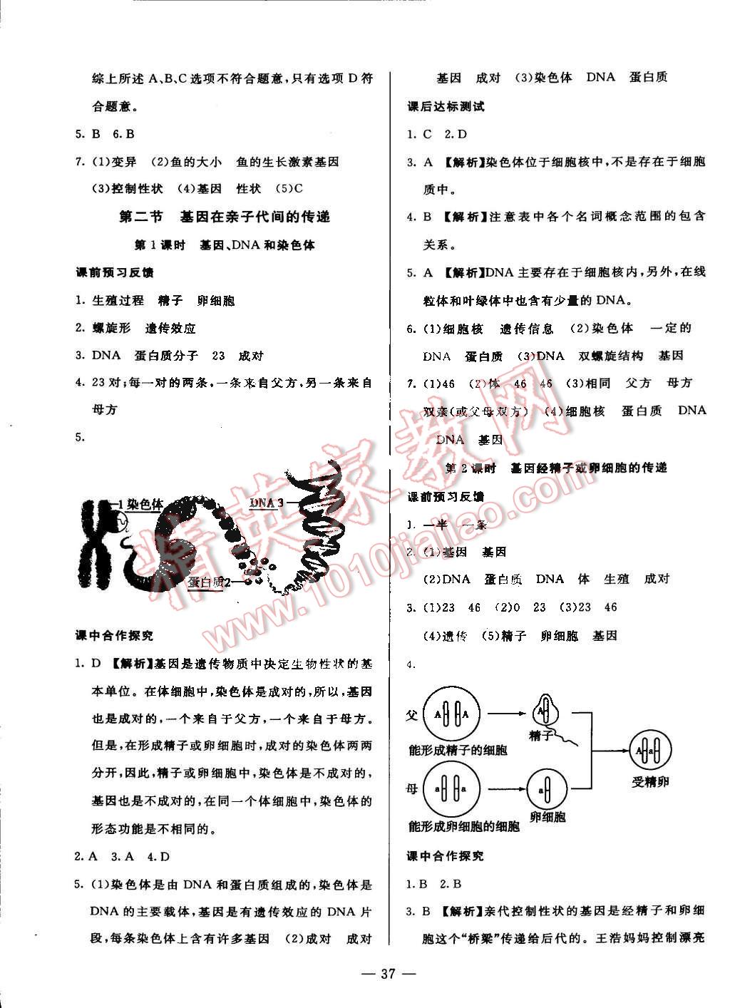 2016年非常1加1八年級(jí)生物下冊(cè)人教版 第5頁(yè)