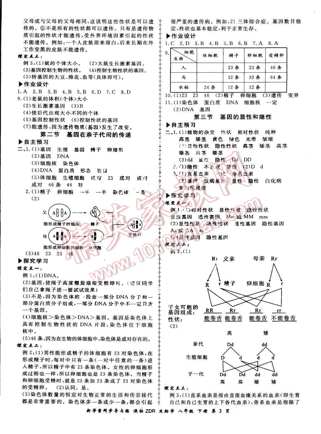 2015年新學案同步導與練八年級生物學下冊人教版 第3頁