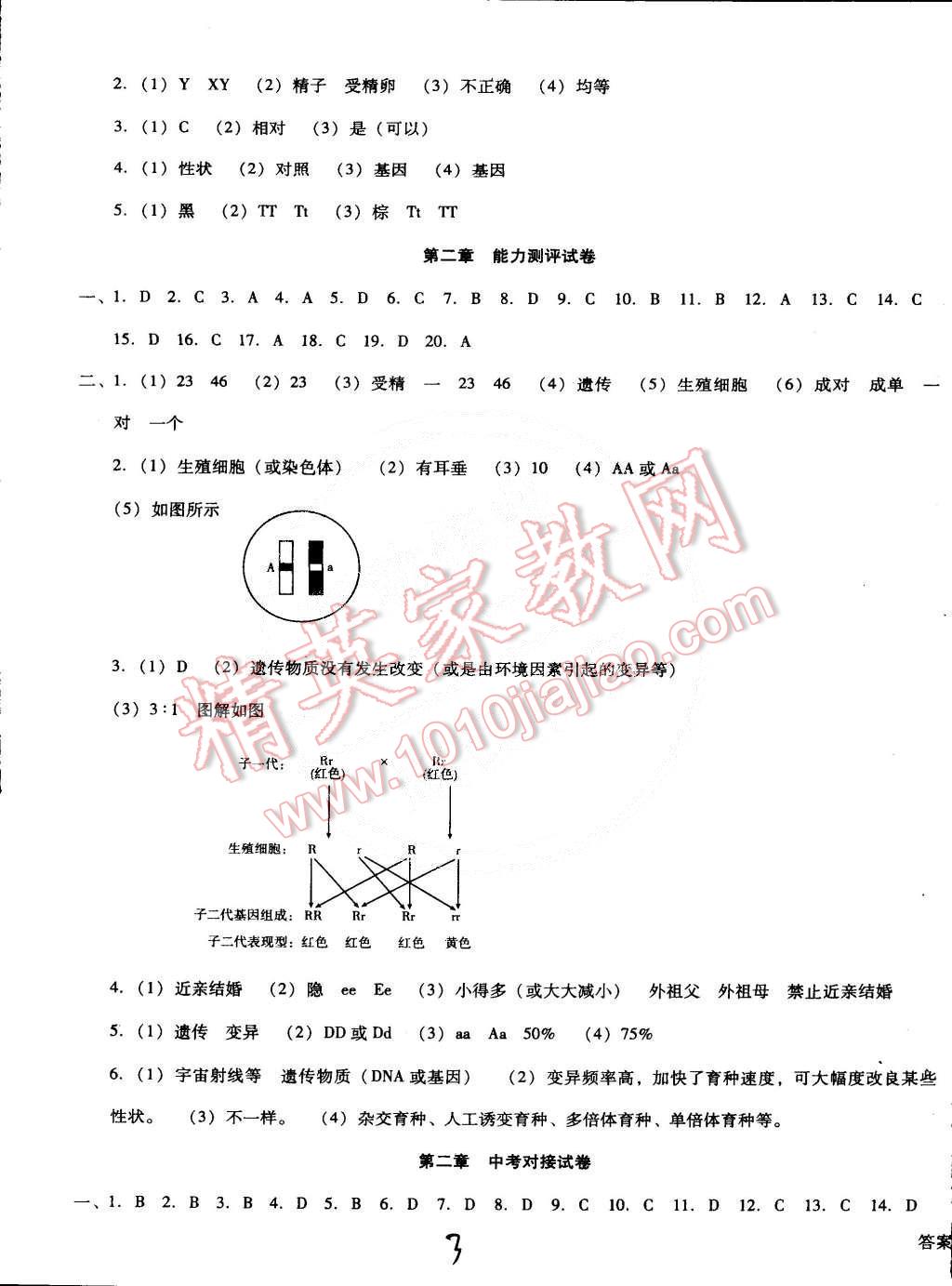 2015年单元加期末复习与测试八年级生物下册人教版 第3页