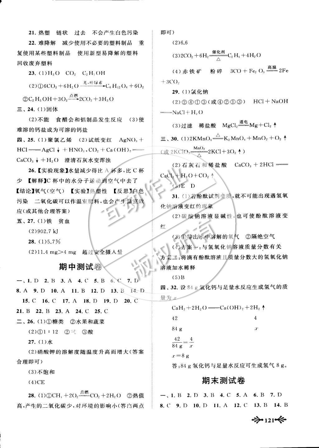 2015年自主學習當堂反饋九年級化學下冊人教版 第12頁