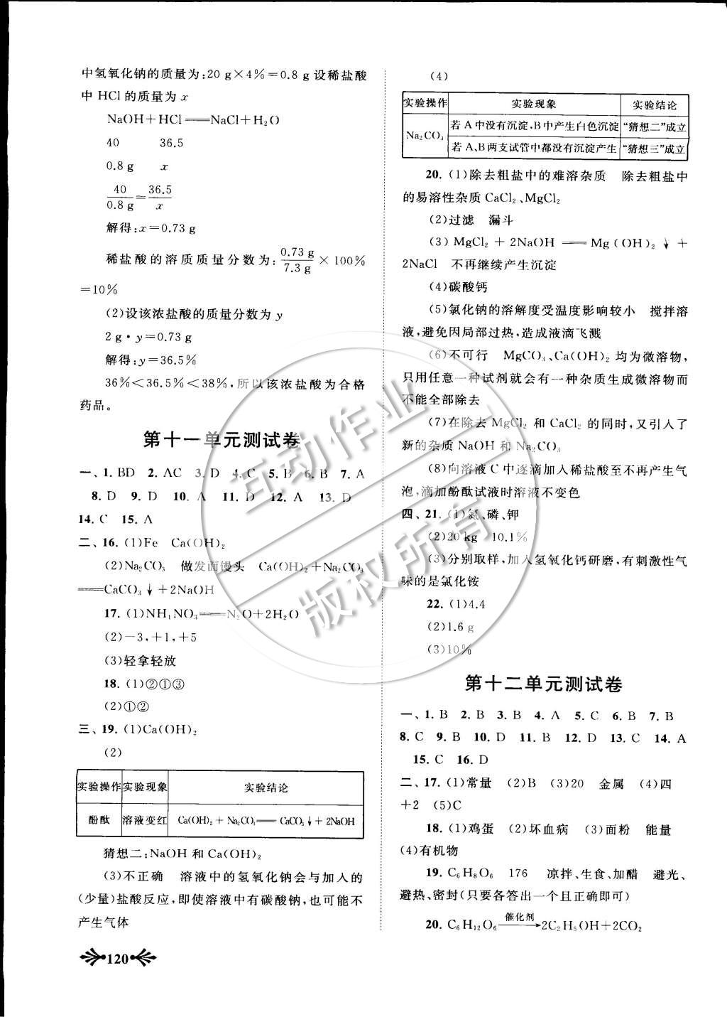 2015年自主學(xué)習(xí)當(dāng)堂反饋九年級化學(xué)下冊人教版 第11頁