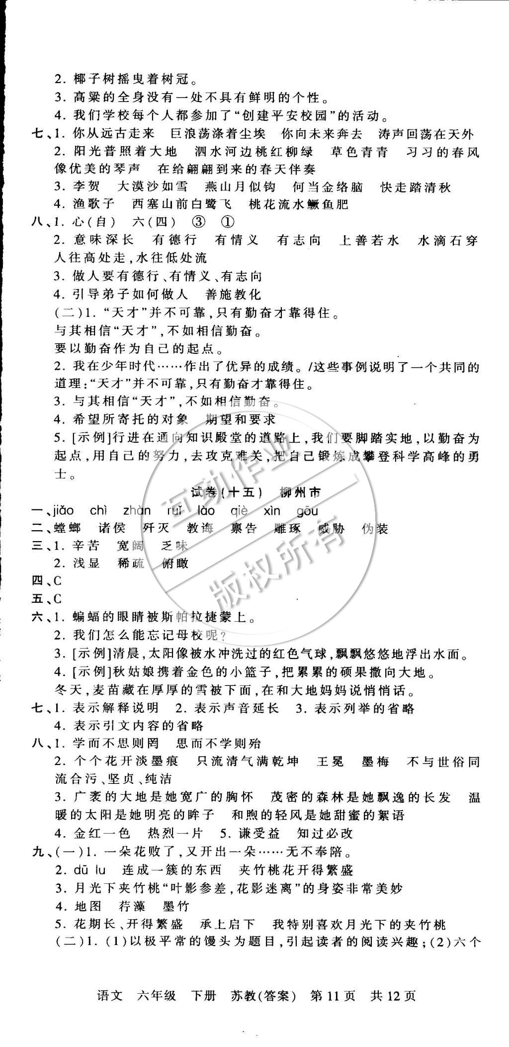 2015年王朝霞各地期末试卷精选六年级语文下册苏教版 第11页