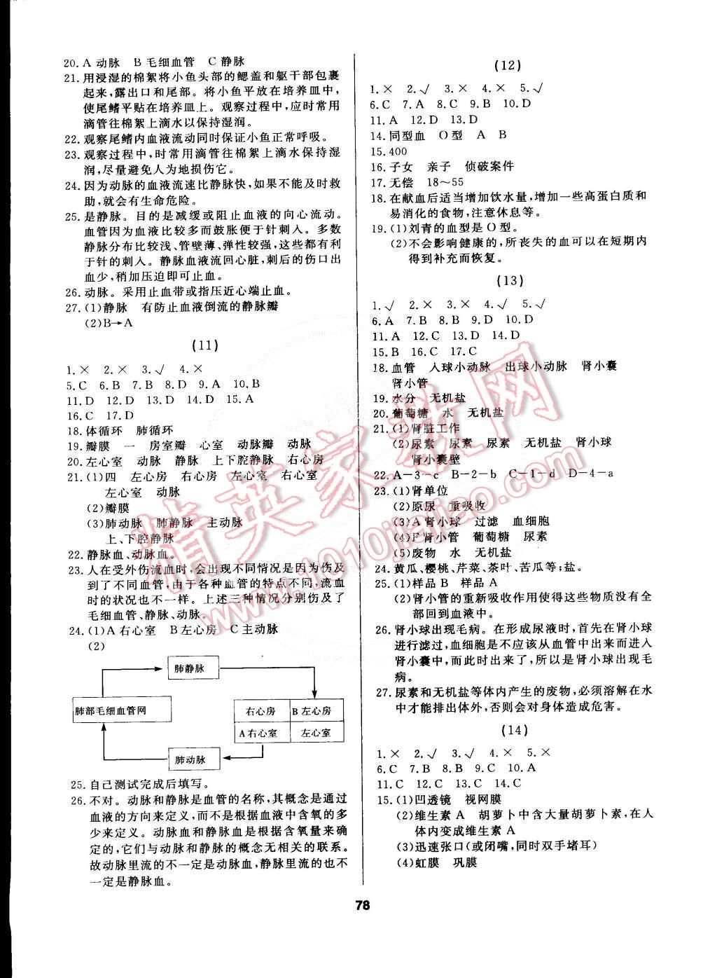 2015年試題優(yōu)化課堂同步七年級生物下冊人教版 第4頁