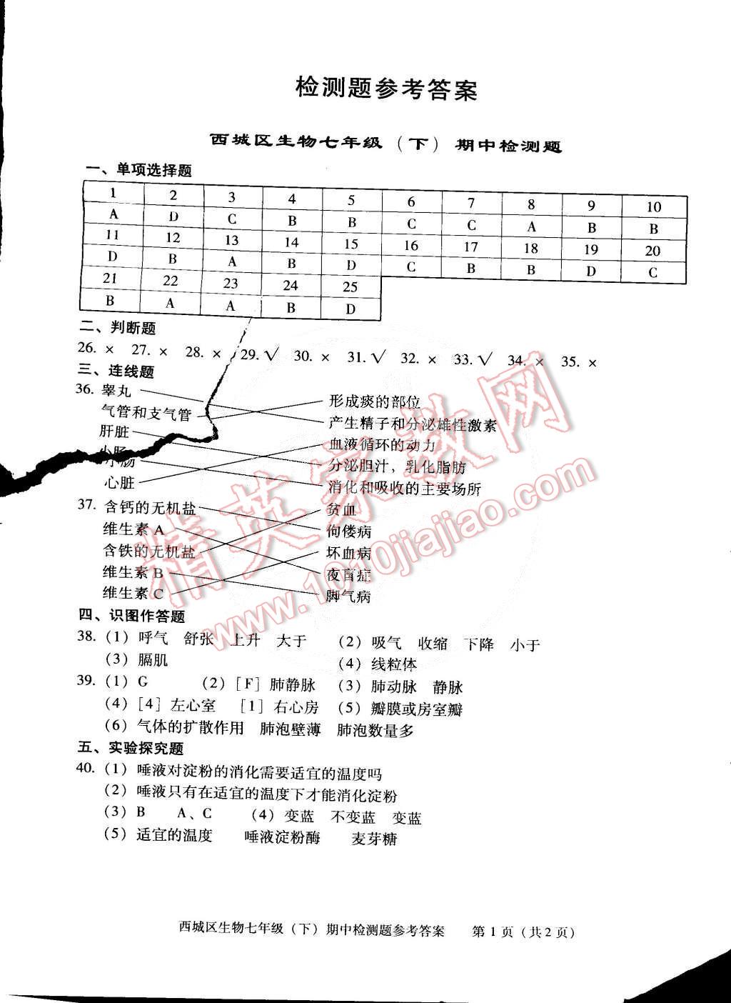 2015年學(xué)習(xí)探究診斷七年級(jí)生物下冊(cè) 第13頁(yè)