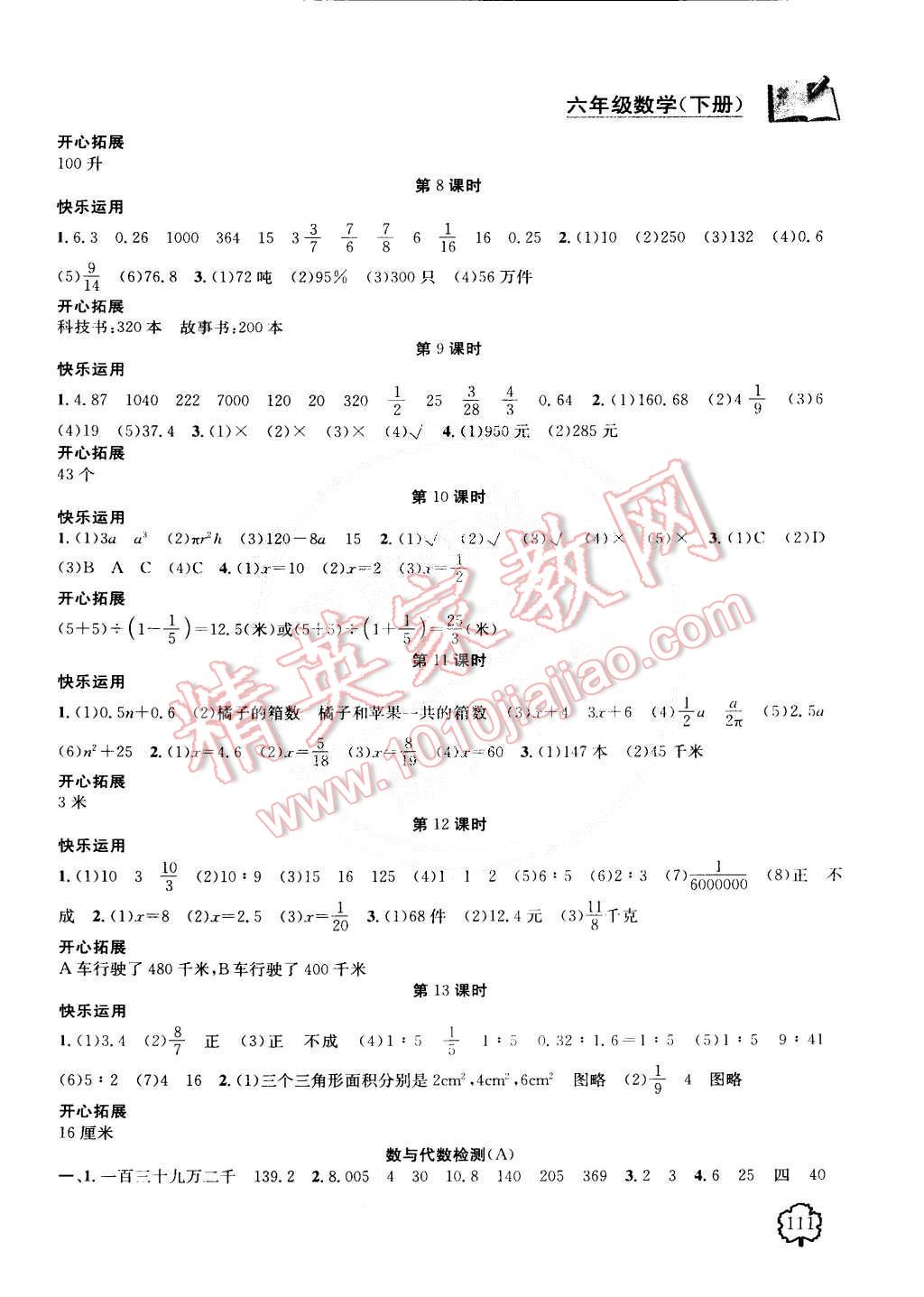 2015年金鑰匙1加1課時作業(yè)六年級數(shù)學(xué)下冊江蘇版 第9頁