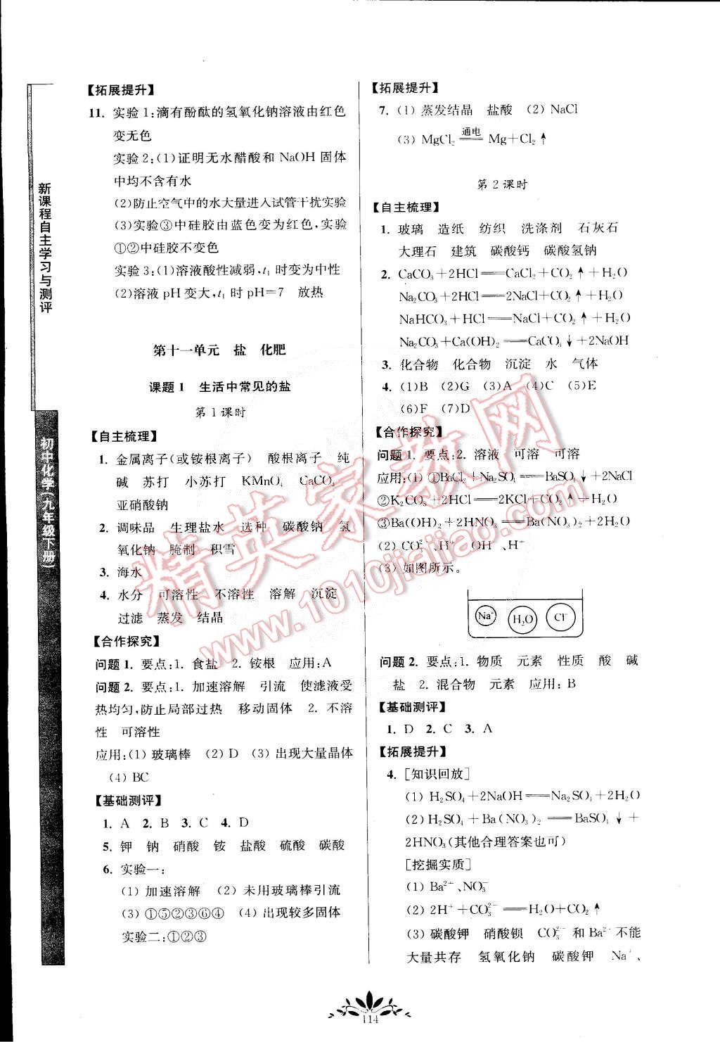 2015年新課程自主學習與測評九年級化學下冊人教版 第6頁