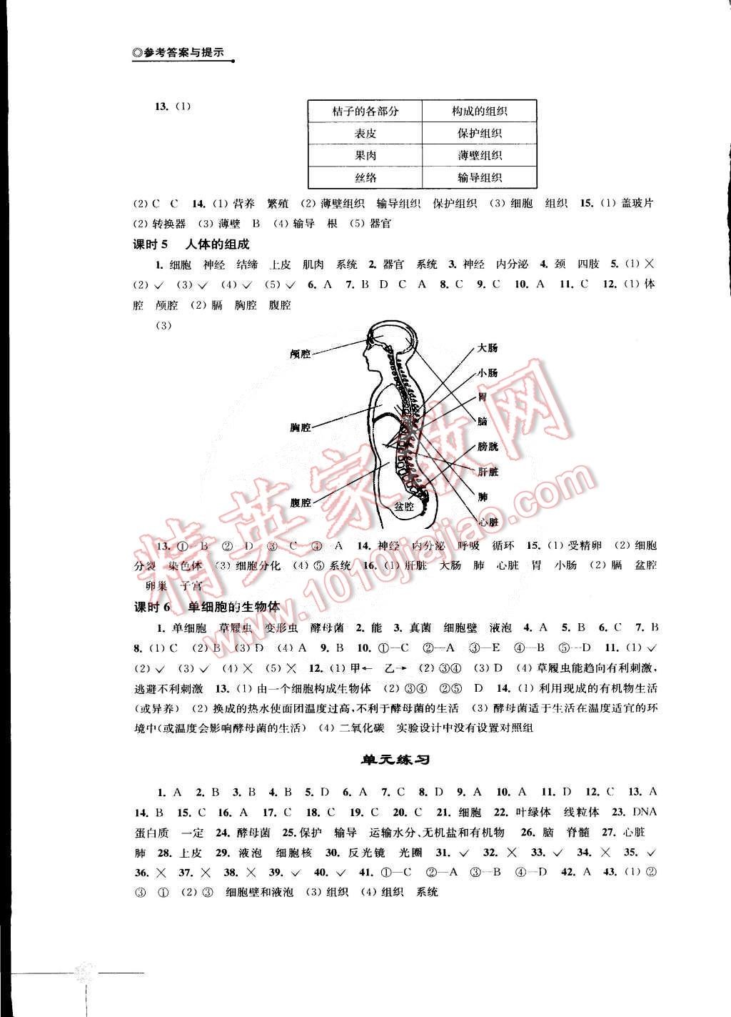 2015年初中生物学课课练七年级下册苏科版 第2页