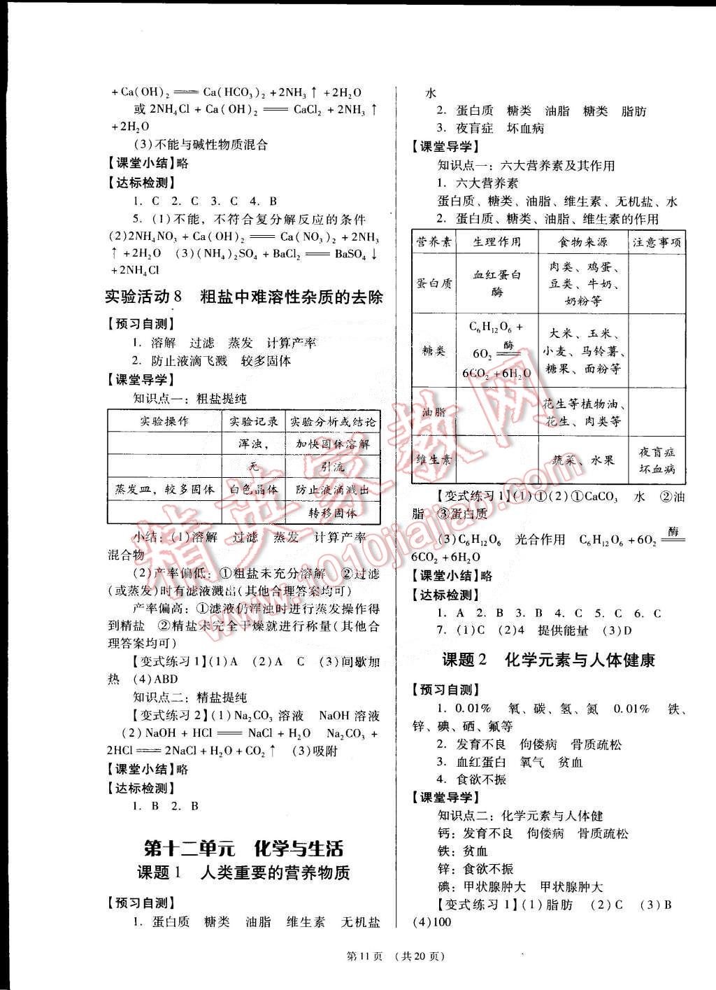 2015年深圳金卷初中化學(xué)導(dǎo)學(xué)案九年級(jí)下冊(cè) 第11頁