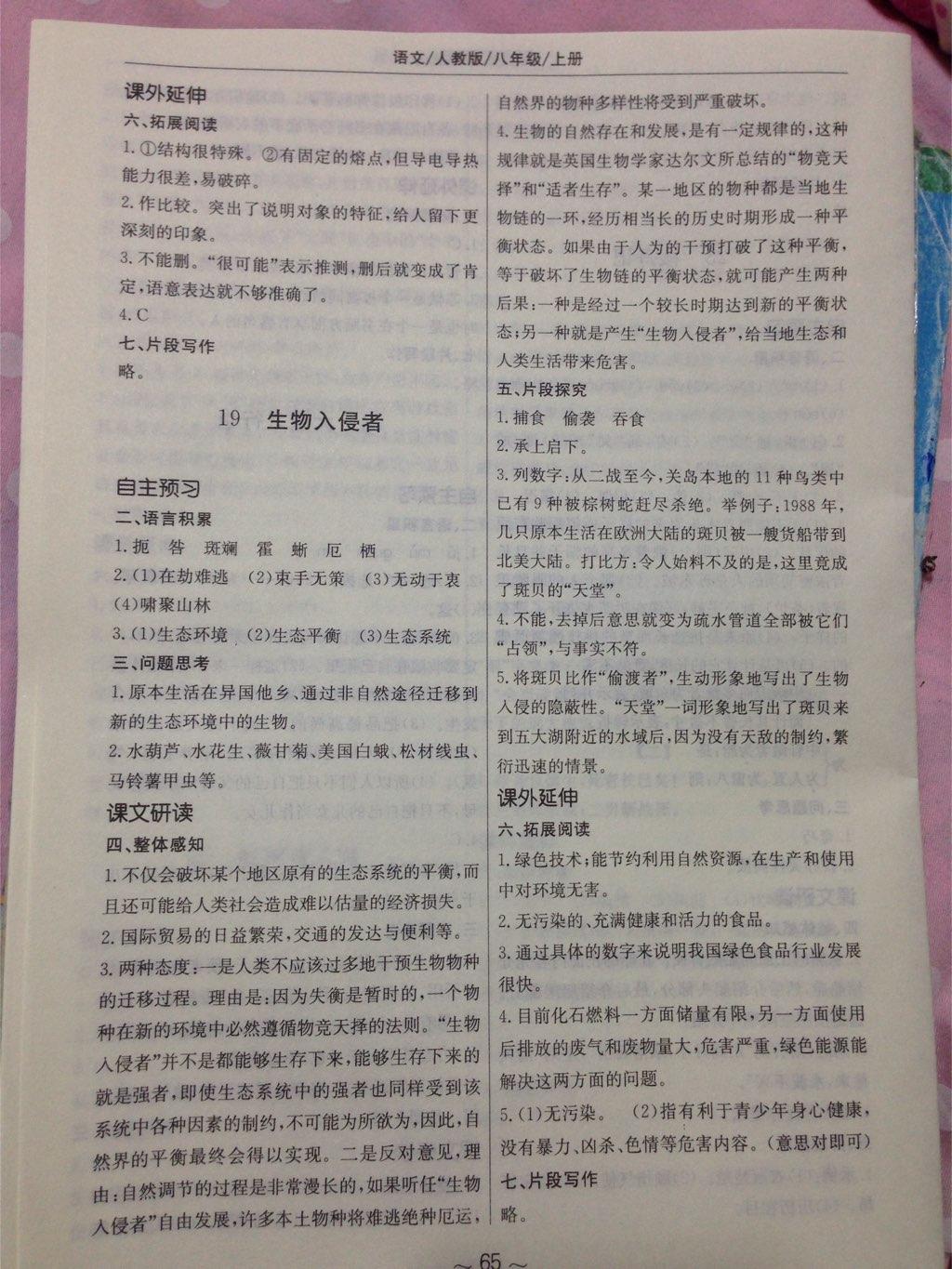 2014年新編基礎(chǔ)訓(xùn)練八年級(jí)語文上冊(cè)人教版 第17頁