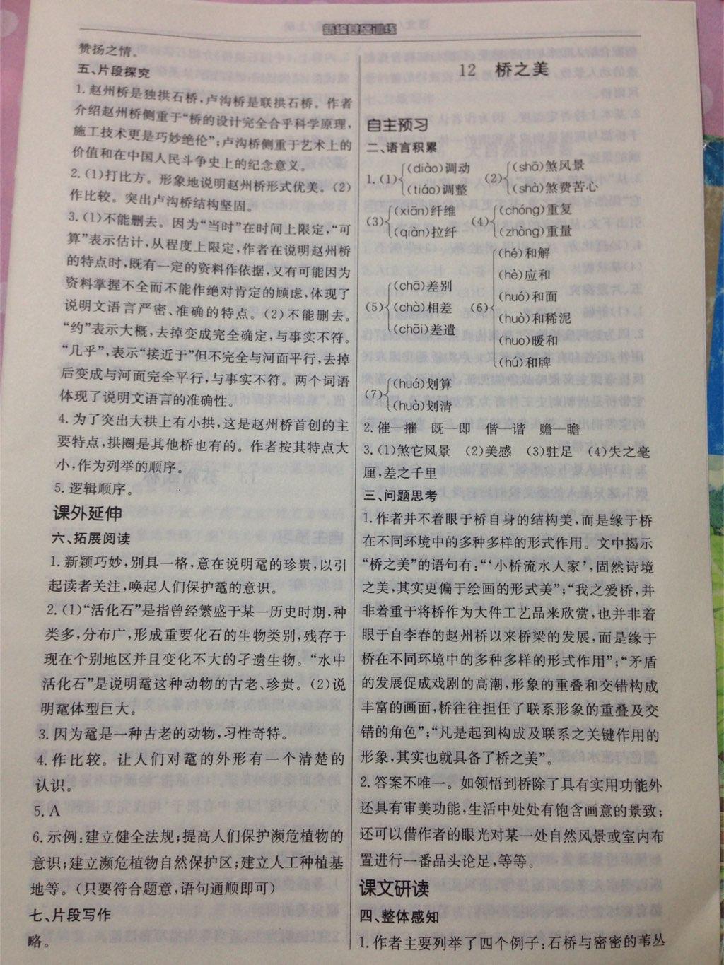 2014年新編基礎(chǔ)訓(xùn)練八年級語文上冊人教版 第10頁