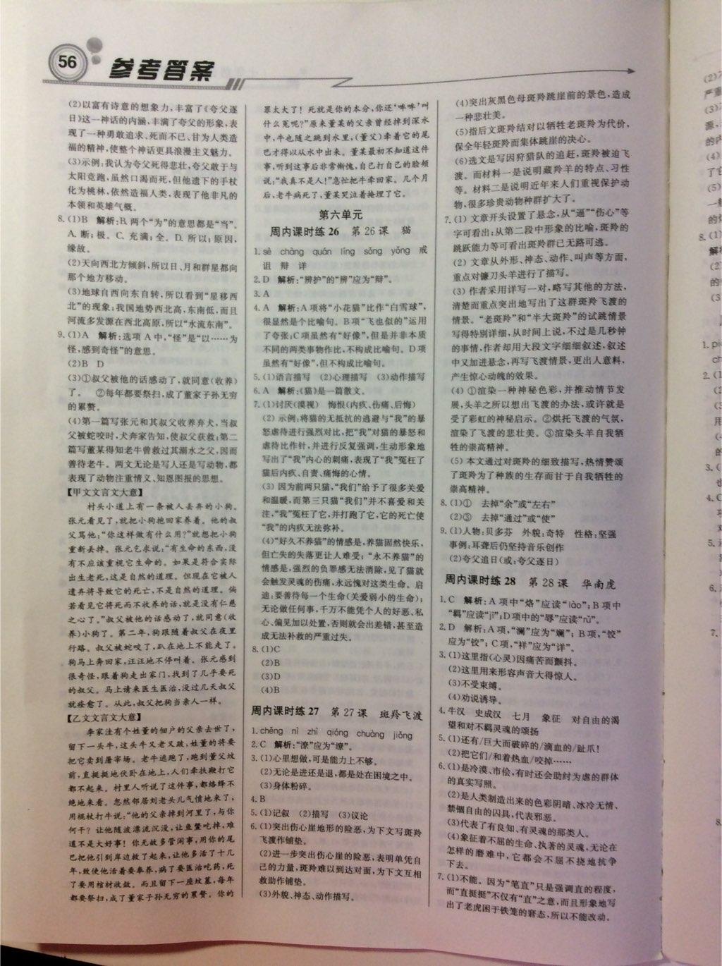 2015年輕巧奪冠周測月考直通中考七年級語文下冊人教版 第24頁