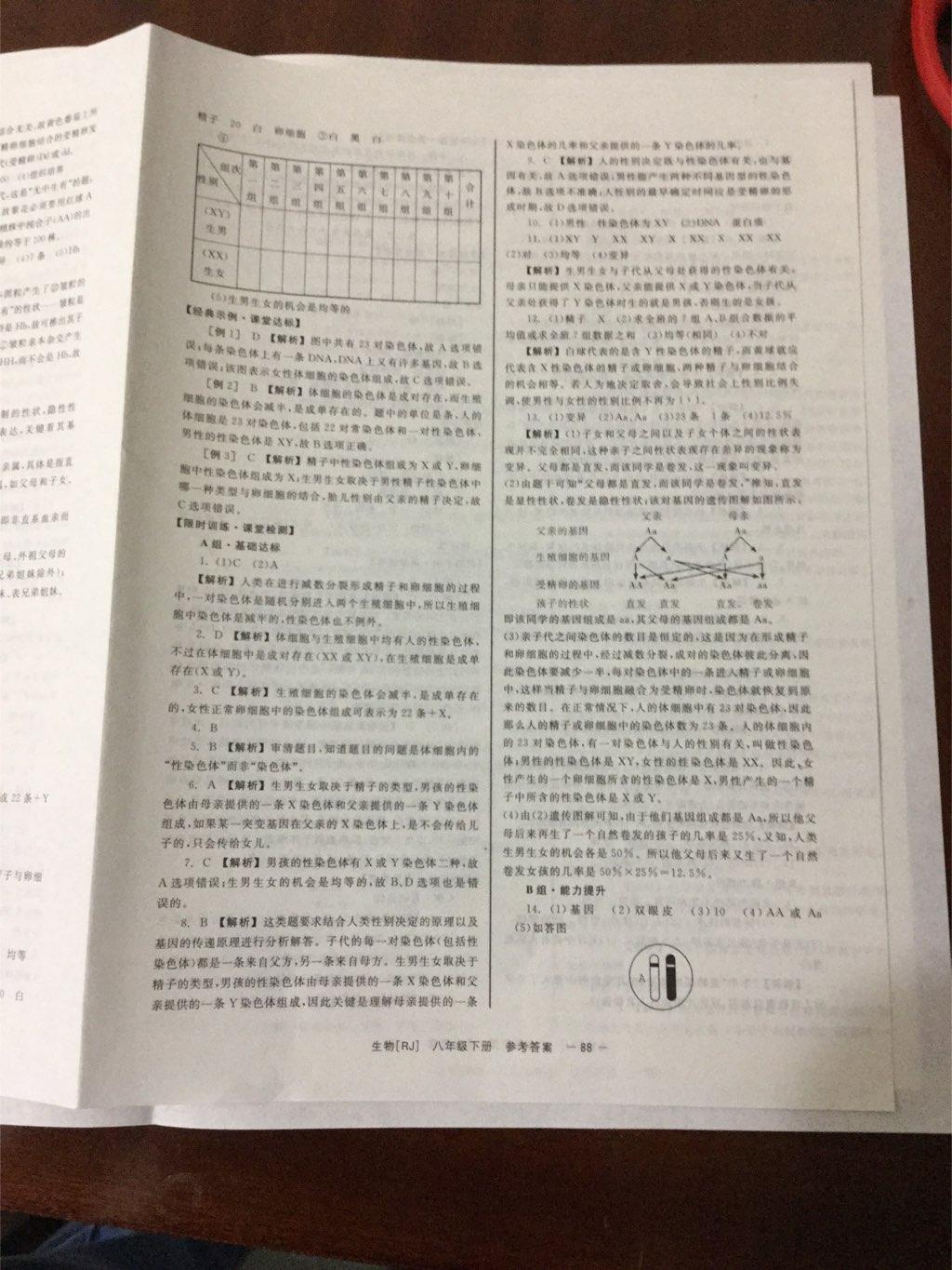 2015年全效學(xué)習(xí)八年級(jí)生物下冊(cè)人教版 第28頁(yè)